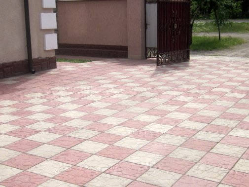 Фотография тротуарной плитки Черепаха 2